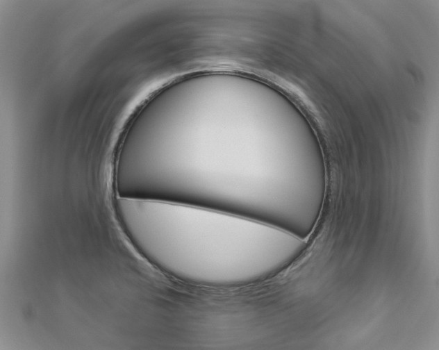 X0000112881424200908211042
