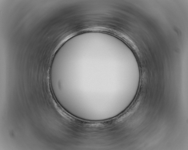 X0000112881425200908211042