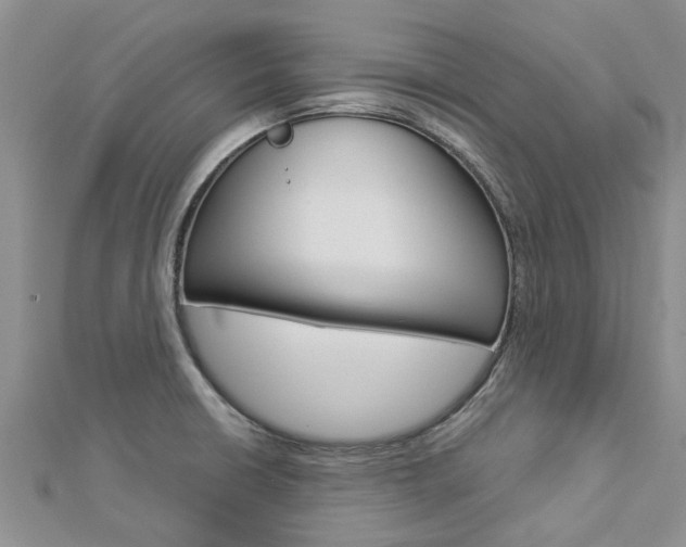 X0000112881426200908211042