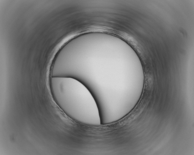 X0000112881427200908211042