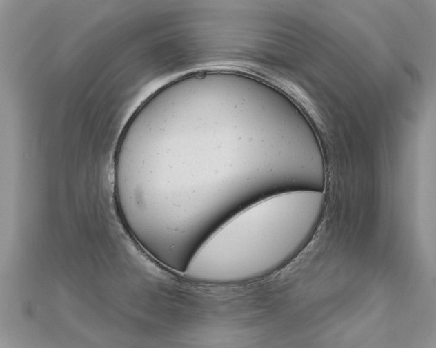 X0000112881428200908211042