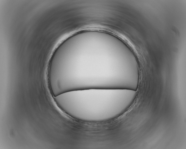 X0000112881429200908211042