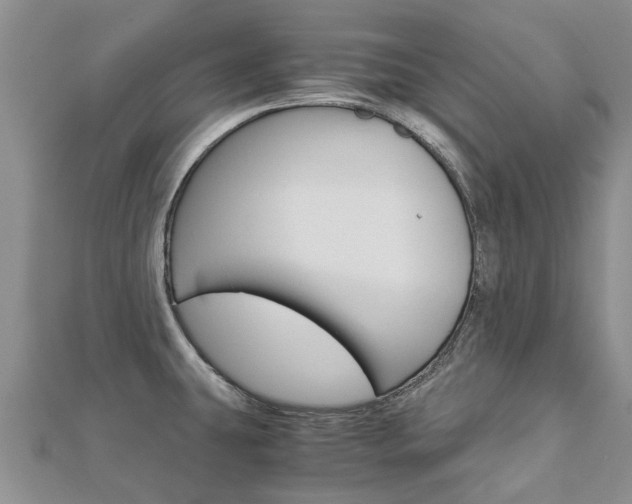X0000112881431200908211042