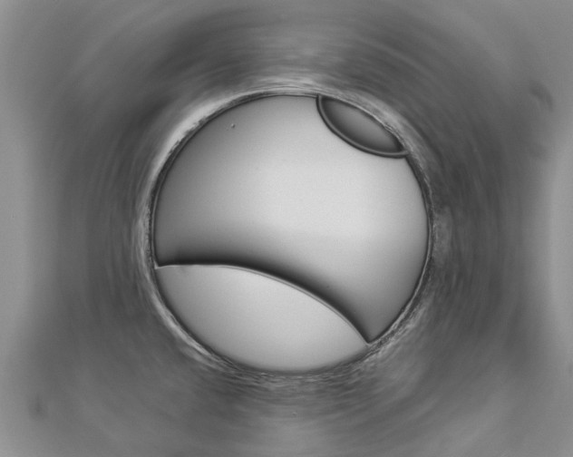 X0000112881432200908211042