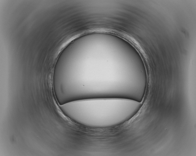 X0000112881433200908211042