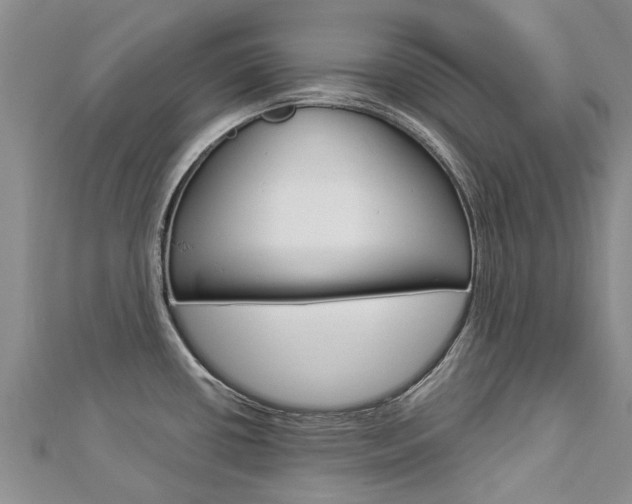 X0000112881434200908211042
