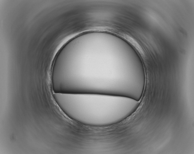 X0000112881436200908211042