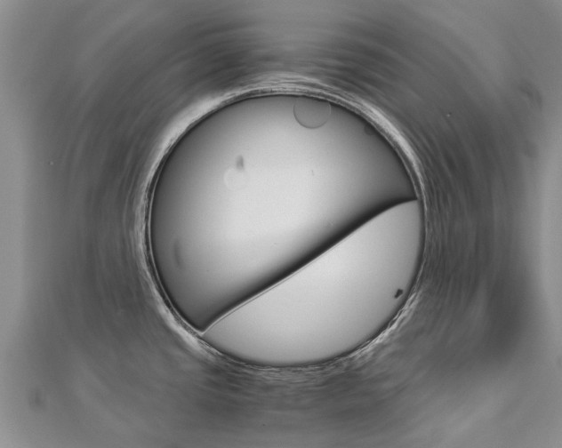 X0000112881437200908211042