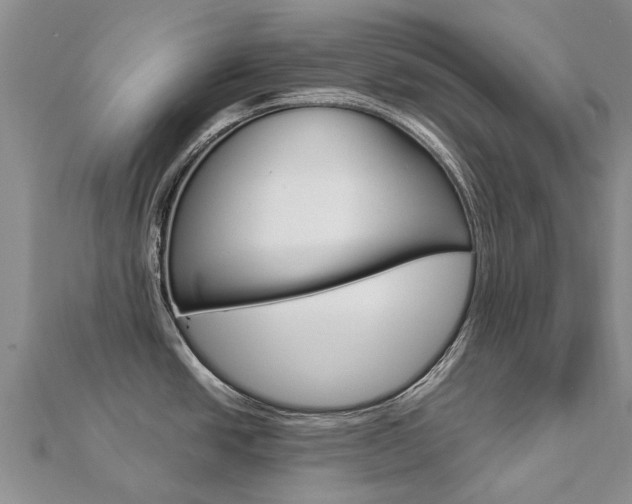 X0000112881438200908211042
