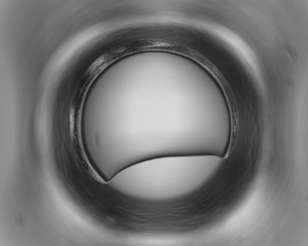 X0000112881439200908211042