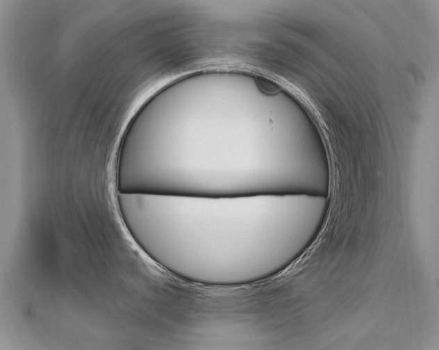 X0000112881440200908211042