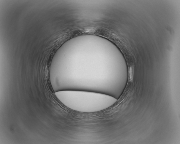 X0000112881443200908211041