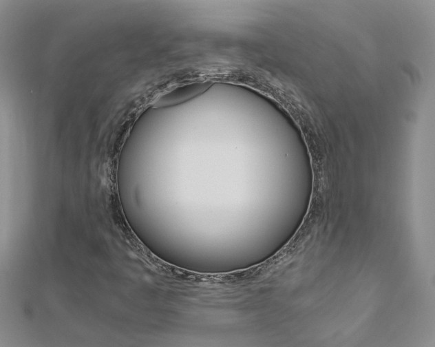 X0000112881445200908211041