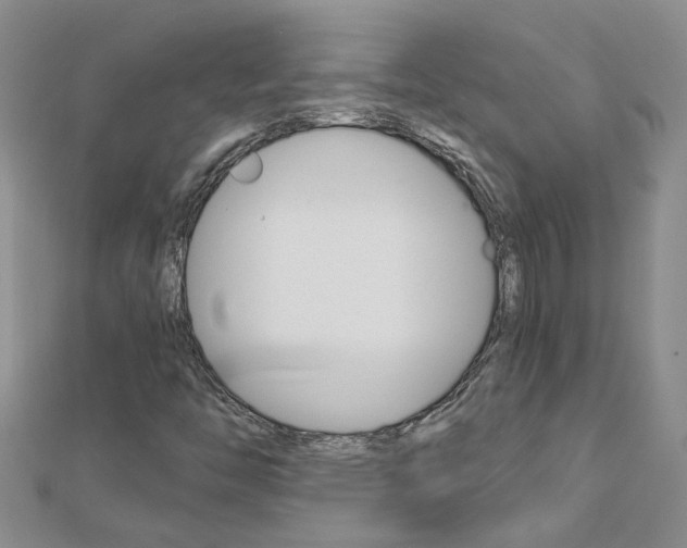 X0000112881446200908211041