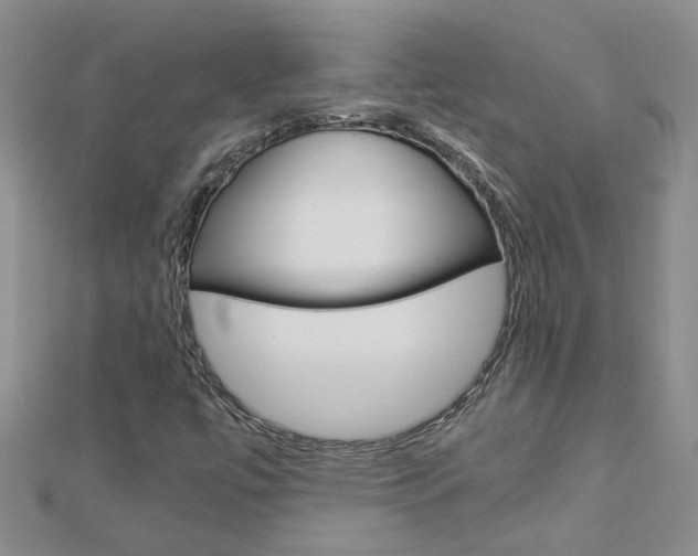 X0000112881447200908211041