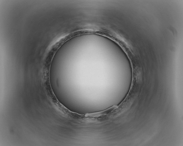 X0000112881448200908211041