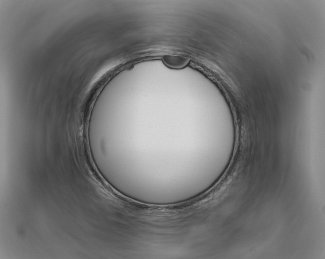 X0000112881450200908211041