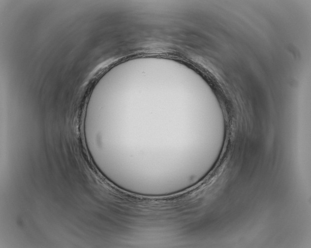 X0000112881451200908211041