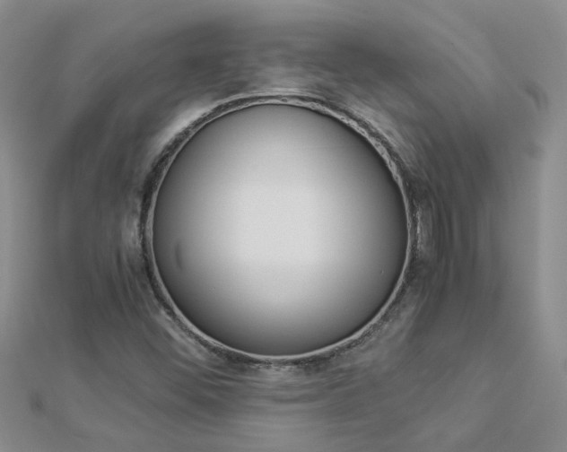 X0000112881452200908211041