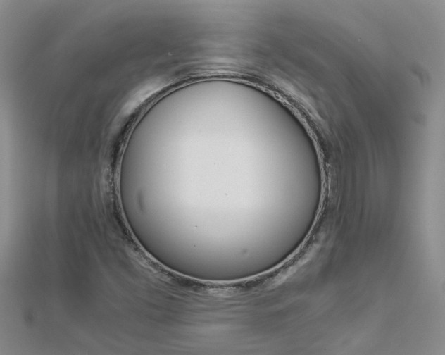 X0000112881453200908211041