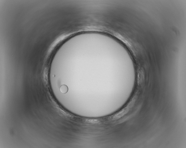 X0000112881454200908211041