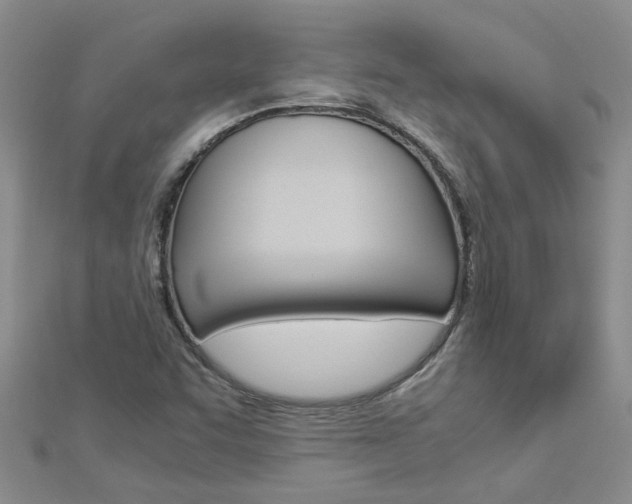 X0000112881455200908211041