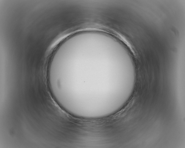 X0000112881456200908211041