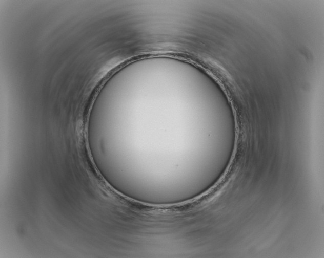 X0000112881457200908211041