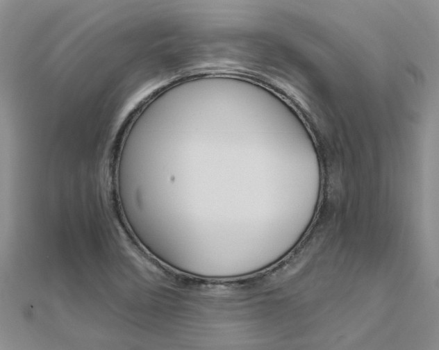 X0000112881458200908211041