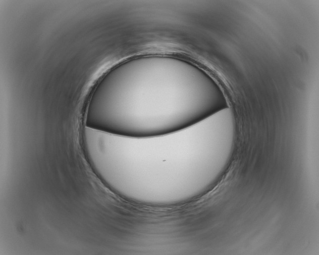 X0000112881459200908211041