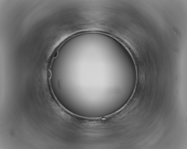 X0000112881460200908211041