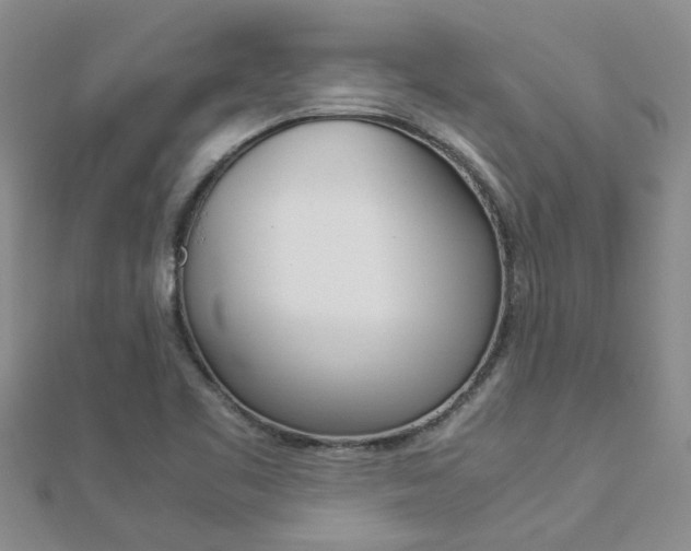 X0000112881461200908211041