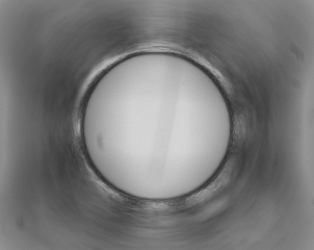 X0000112881462200908211041