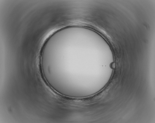 X0000112881463200908211041