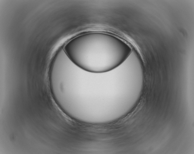 X0000112881464200908211041