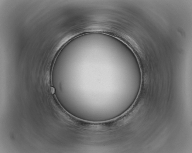 X0000112881465200908211041
