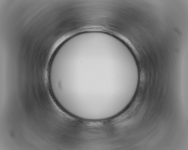 X0000112881466200908211041
