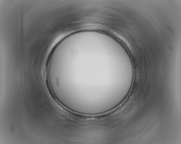X0000112881467200908211041