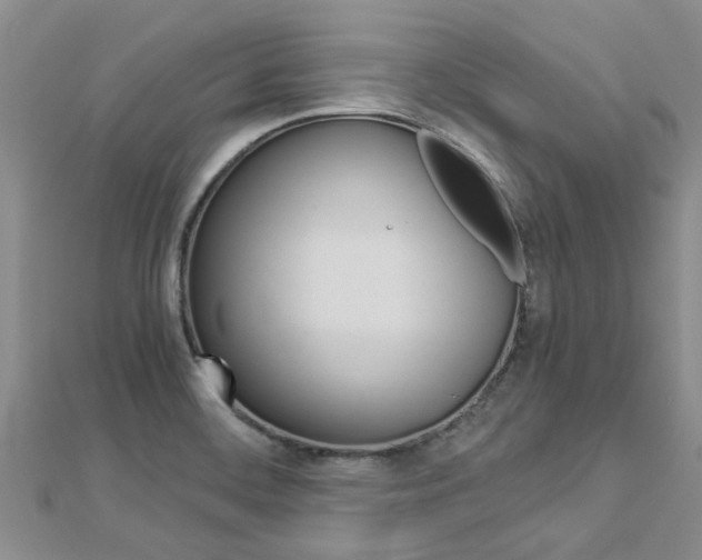 X0000112881468200908211041