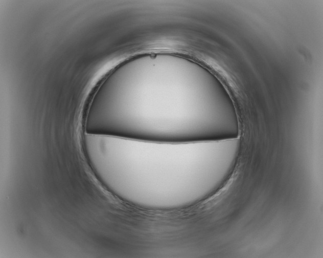 X0000112881469200908211041