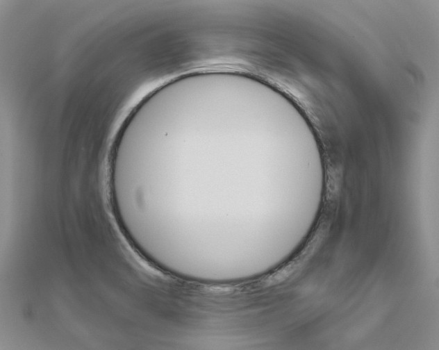 X0000112881470200908211041