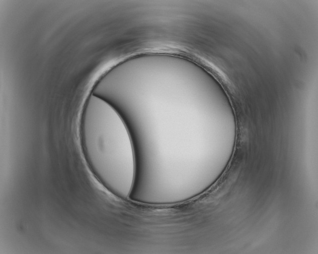 X0000112881471200908211041