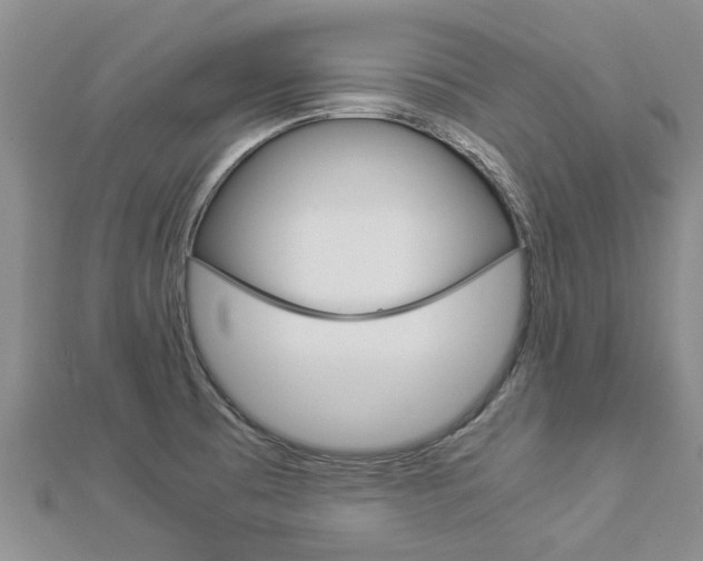 X0000112881473200908211041