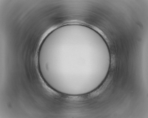 X0000112881474200908211041