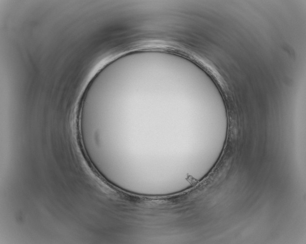 X0000112881475200908211041