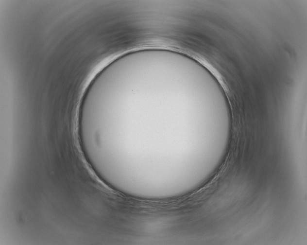 X0000112881477200908211041