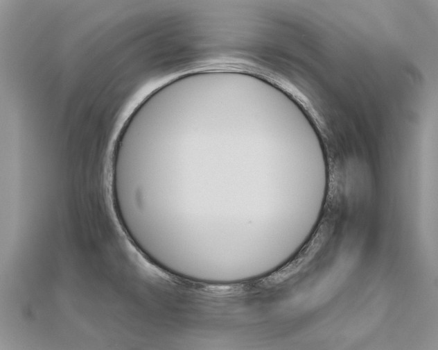 X0000112881478200908211041