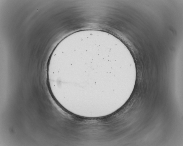 X0000112881479200908211041