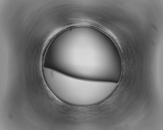 X0000112881480200908211041