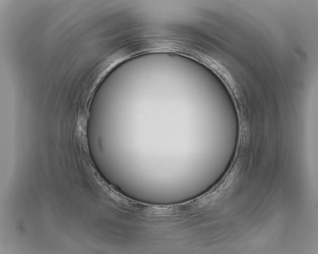 X0000112881481200908211041
